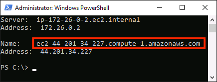 Windows PowerShell window displaying server and address details, with the hostname "ec2-44-201-34-227.compute-1.amazonaws.com" highlighted in red.