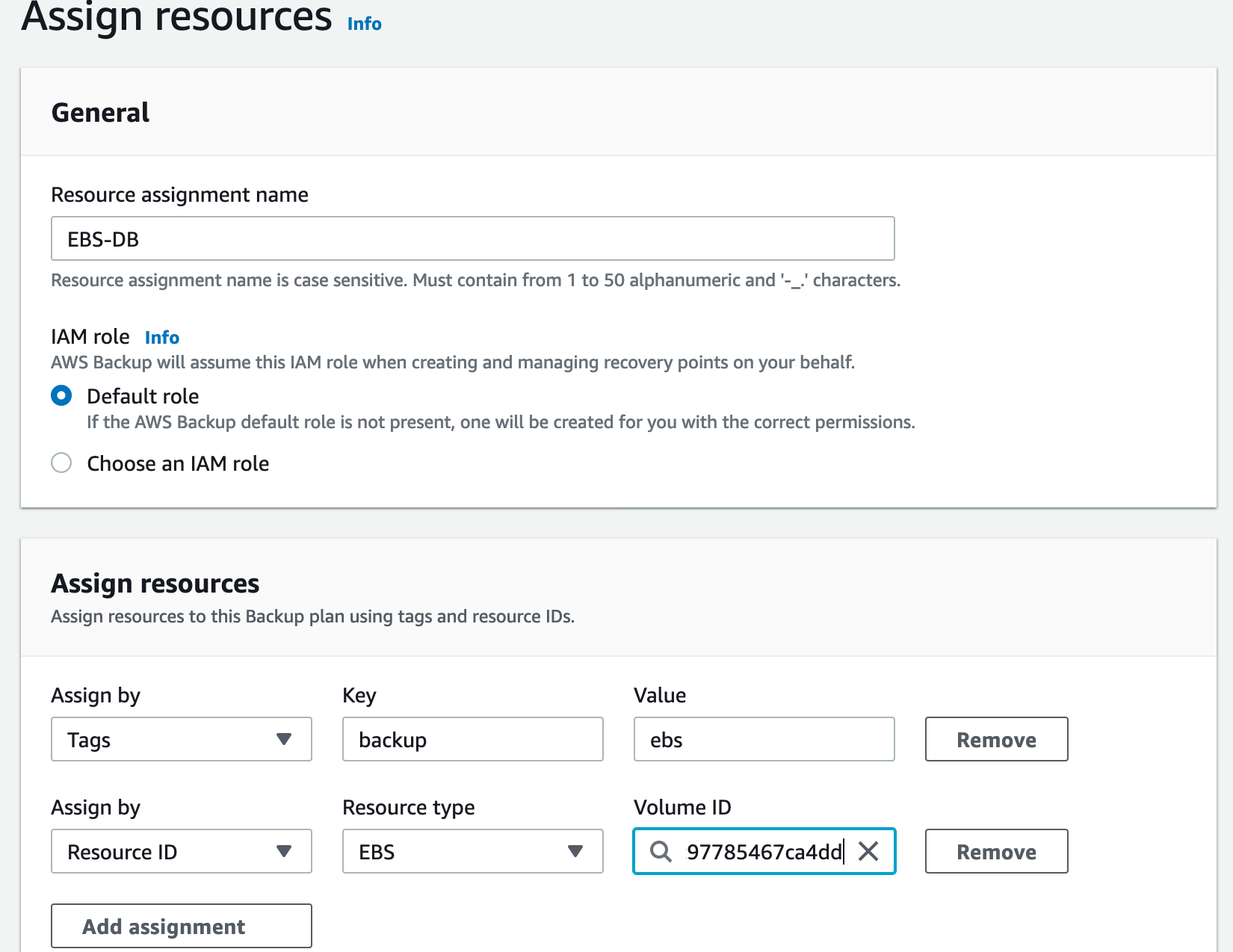 "Screenshot of the AWS Backup 'Assign resources' page, showing fields for resource assignment name, IAM role selection, and resource assignment by tags or resource ID with an example EBS volume ID entered."