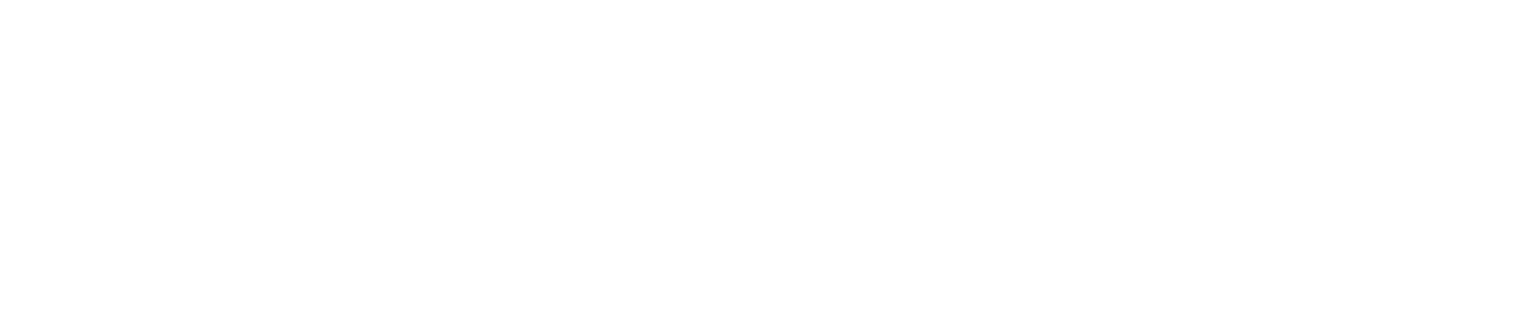 ny-summit-2025-logo-lock-up
