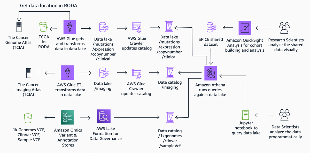Architecture diagram illustrating the data flow and integration of AWS services in a life sciences data lake, including sources such as The Cancer Genome Atlas and 1k Genomes VCF, processing with AWS Glue and Lake Formation, data cataloging, and analysis using Amazon Athena and Amazon QuickSight for research and data science applications.