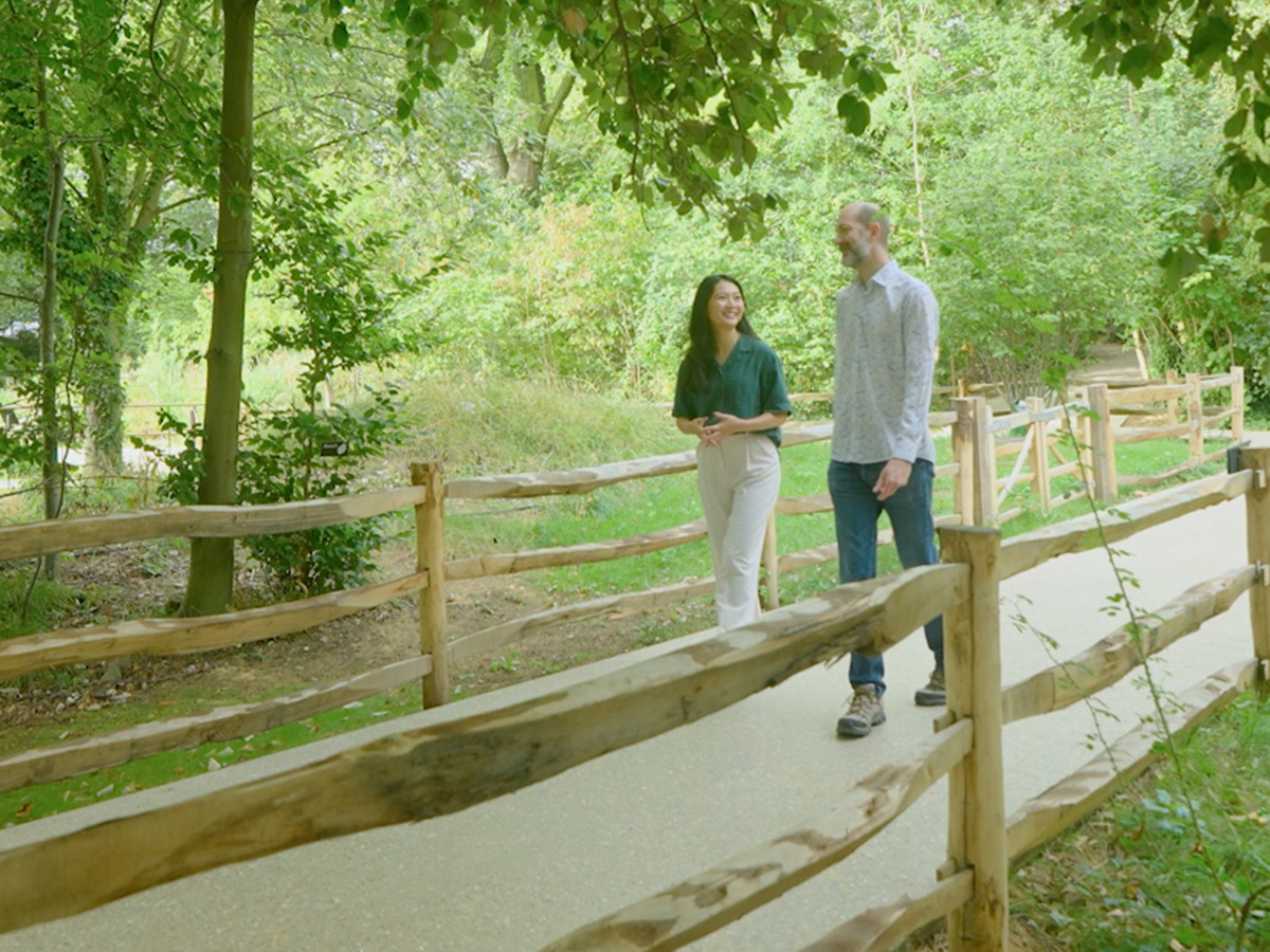 Two people walking and having a conversation on a paved path through a green garden area, bordered by a rustic wooden fence and surrounded by trees and foliage.