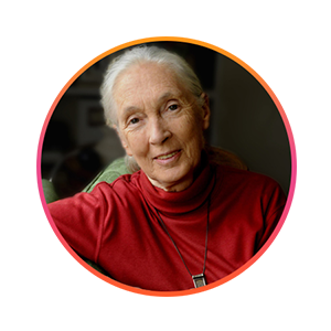 Missing alt text value