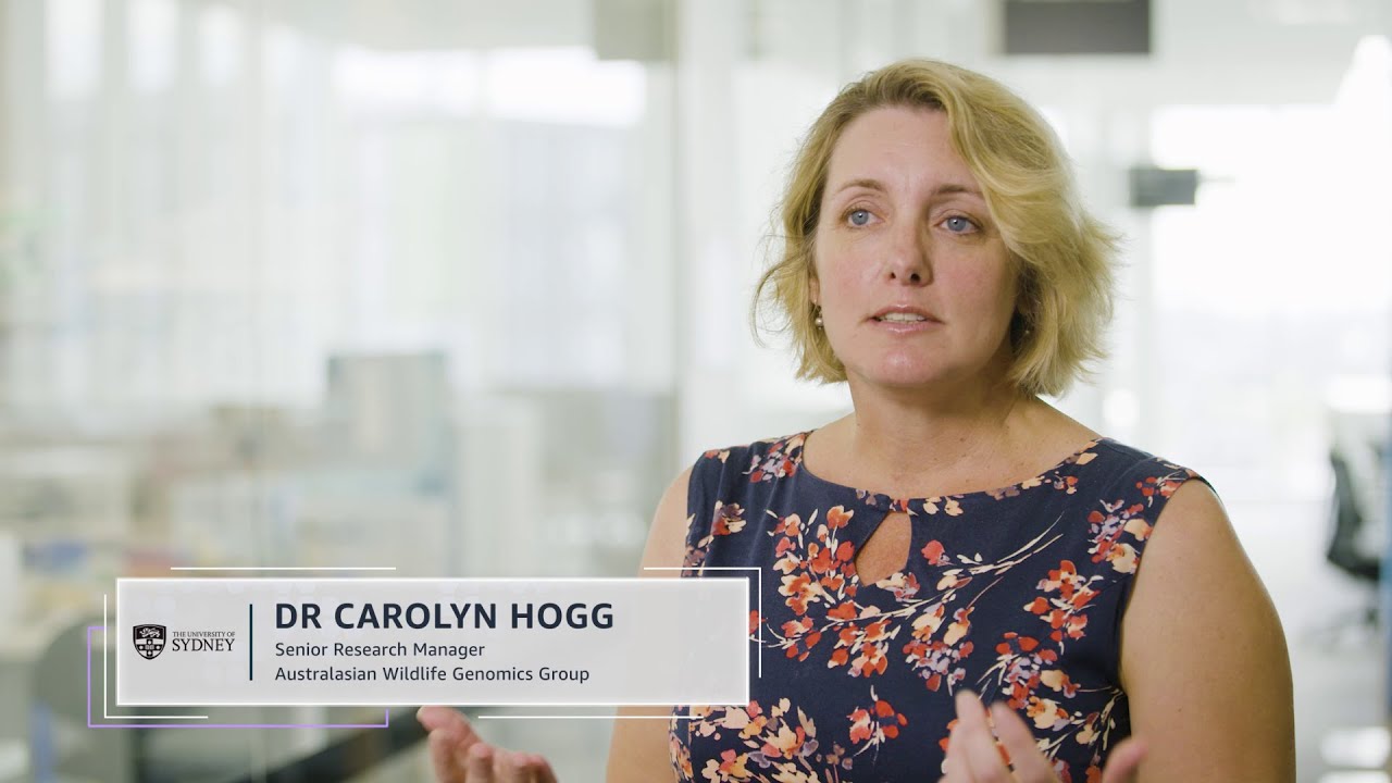 Missing alt text value