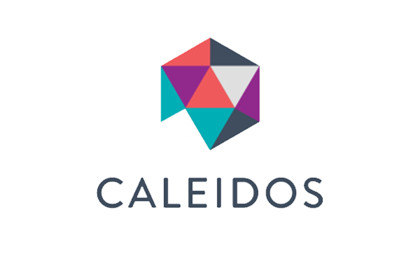 Caleidos Media logo featuring a colorful geometric design above the company name on a white background.
