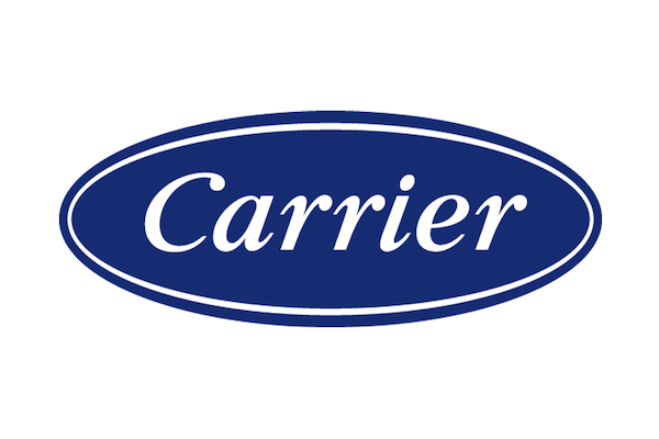 The Carrier company logo in white text inside a blue oval shape on a white background.