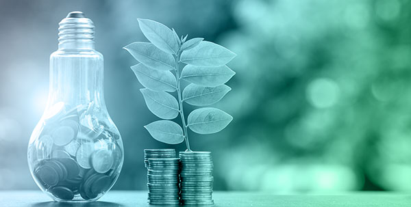 A light bulb filled with coins next to stacked coins with a plant growing from them, symbolizing energy savings and sustainability.