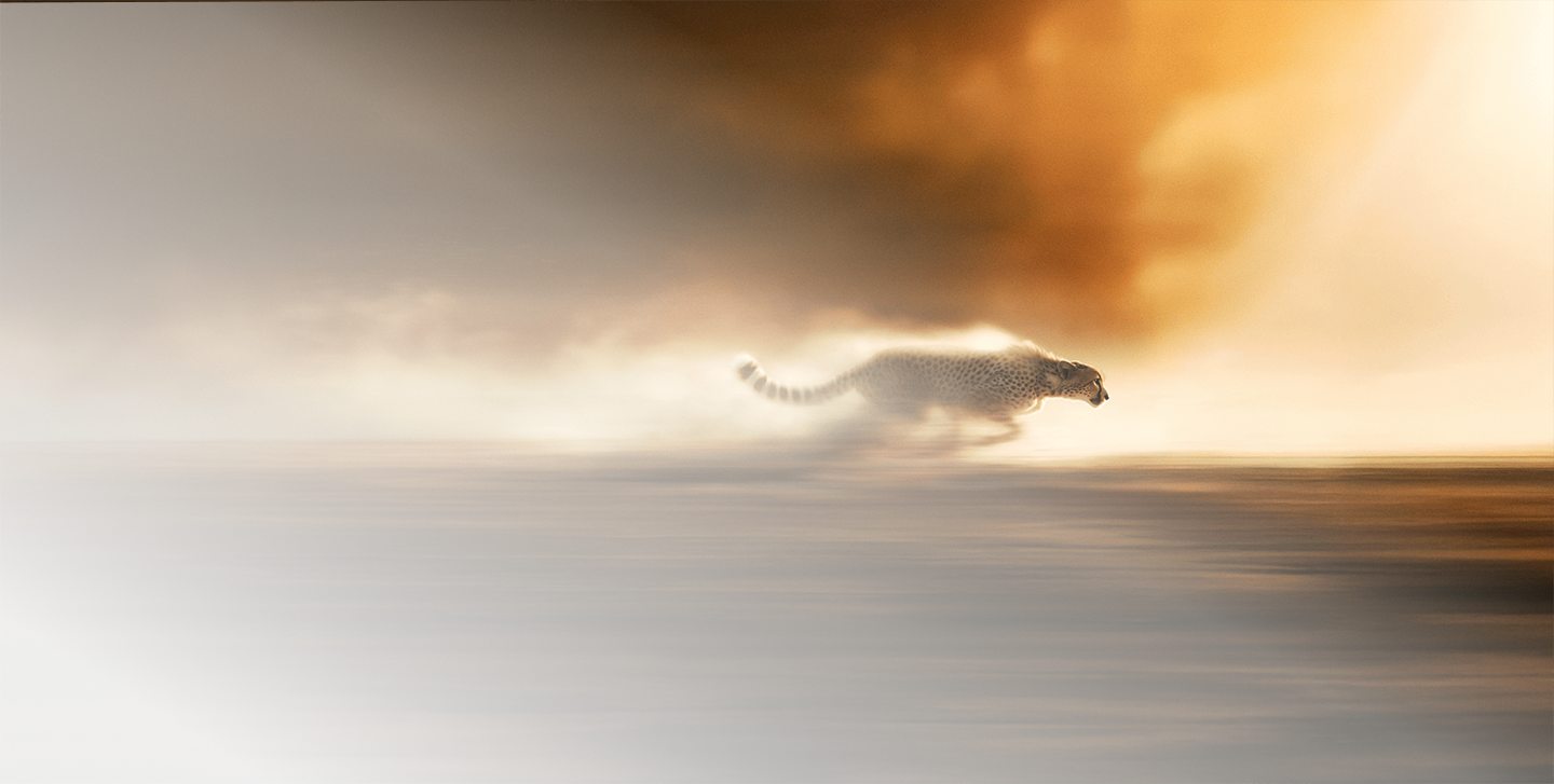 Missing alt text value