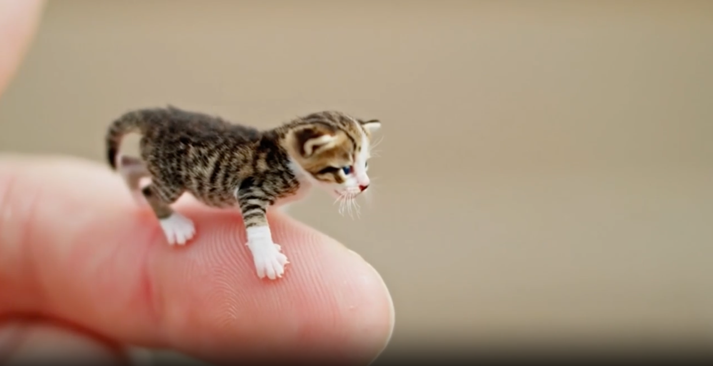 Missing alt text value