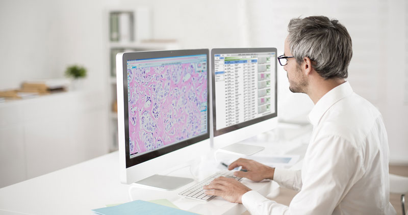 Missing alt text value