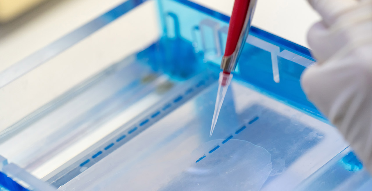 Missing alt text value