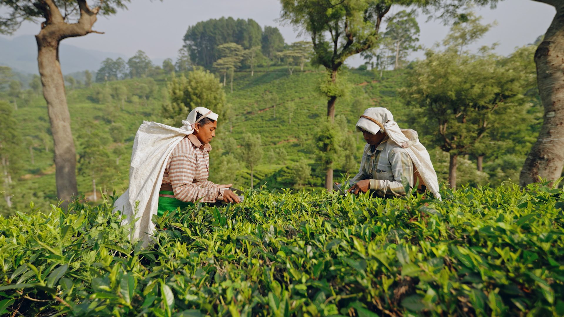 Missing alt text value