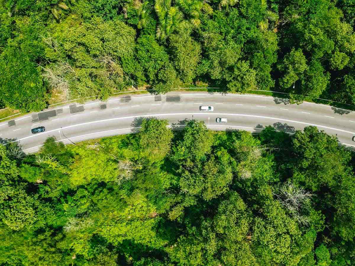 Missing alt text value