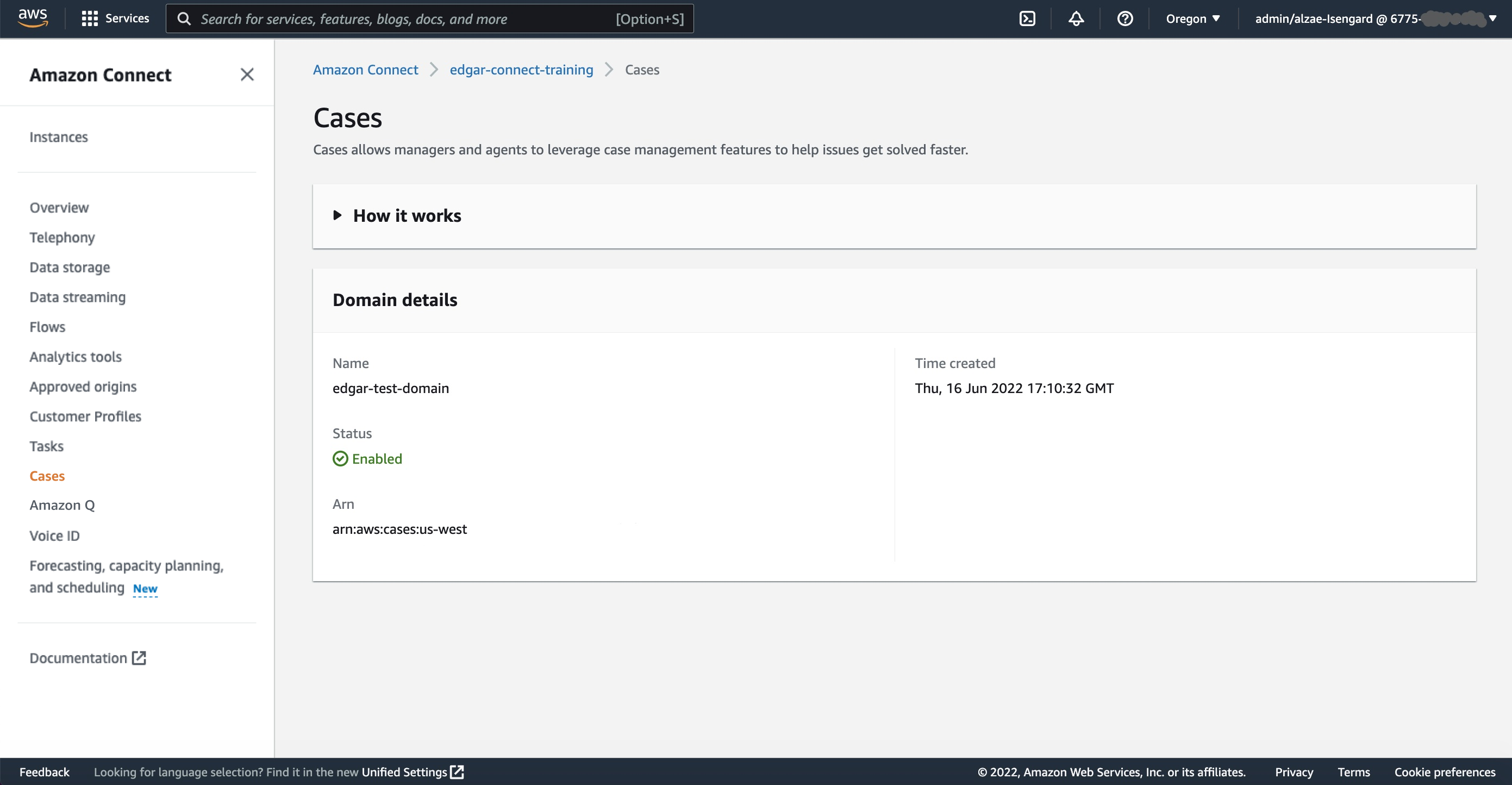 Screenshot of the Amazon Connect interface displaying the Cases Domain Details dashboard, showing details for a domain named 'edgar-test-domain' including status, ARN, and creation time.