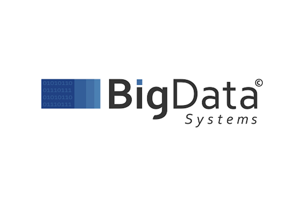 Logo for Big Data Systems featuring stylized text and blue binary code blocks.