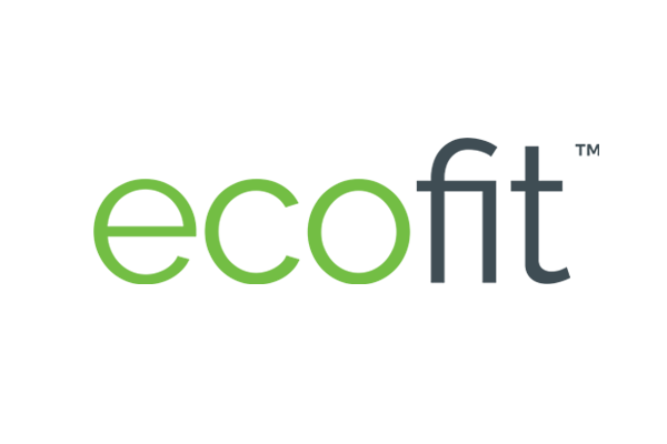 Ecofit logo with green and gray colors on a white background.