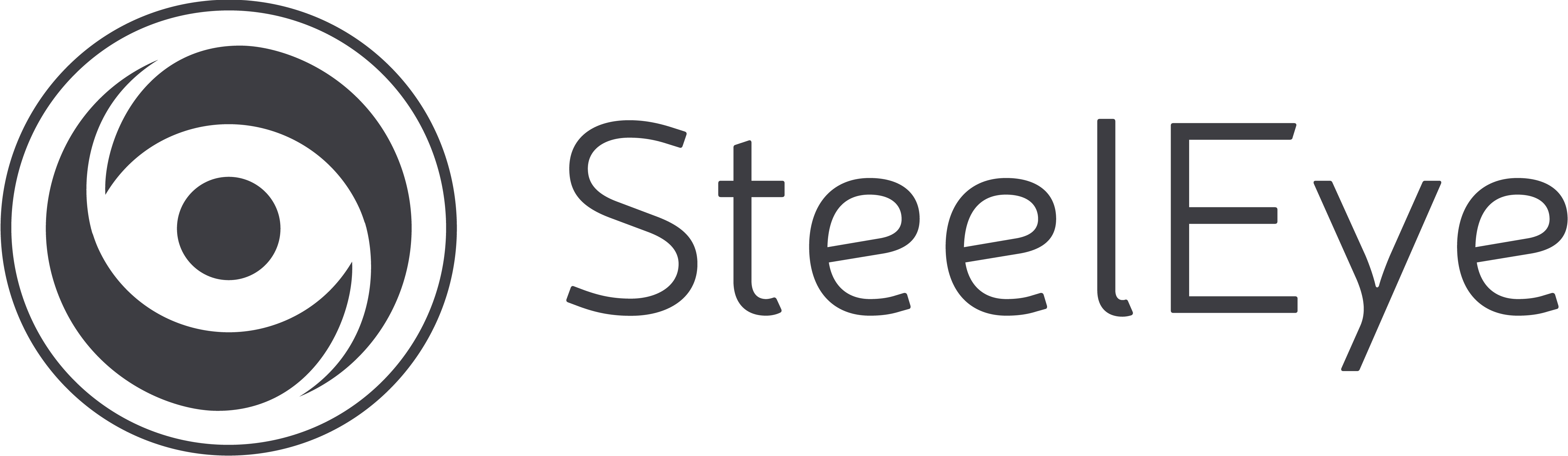 SteelEye logo with a circular eye-like design to the left of the text "SteelEye."