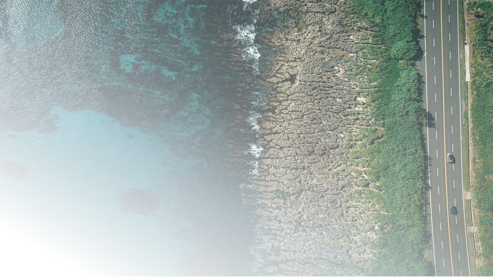 Missing alt text value