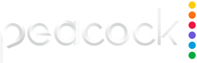 Missing alt text value