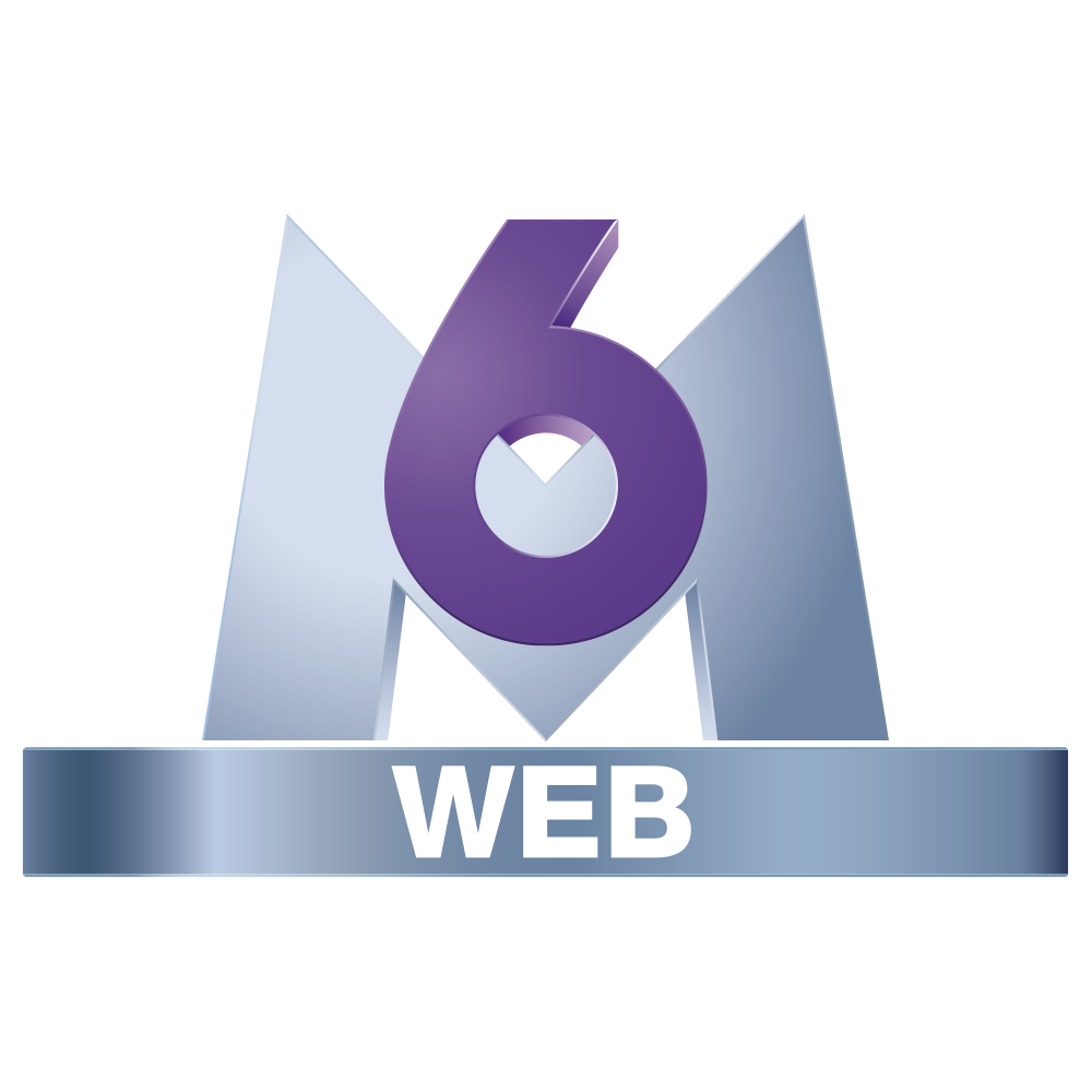 Logo featuring a large metallic letter 'M' with a bold purple number '6' above a metallic bar labeled 'WEB'.