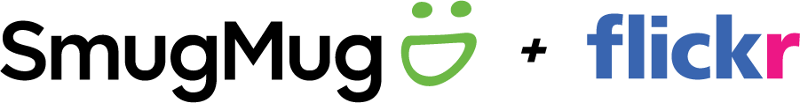 Missing alt text value