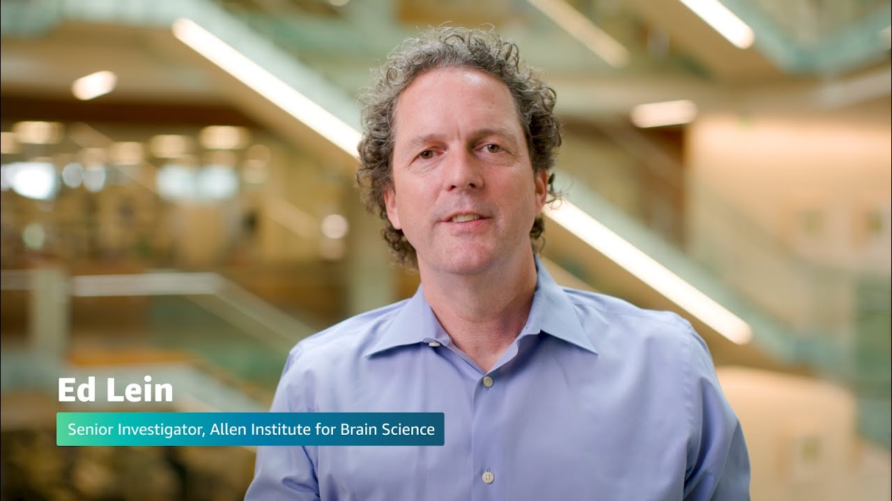 Missing alt text value