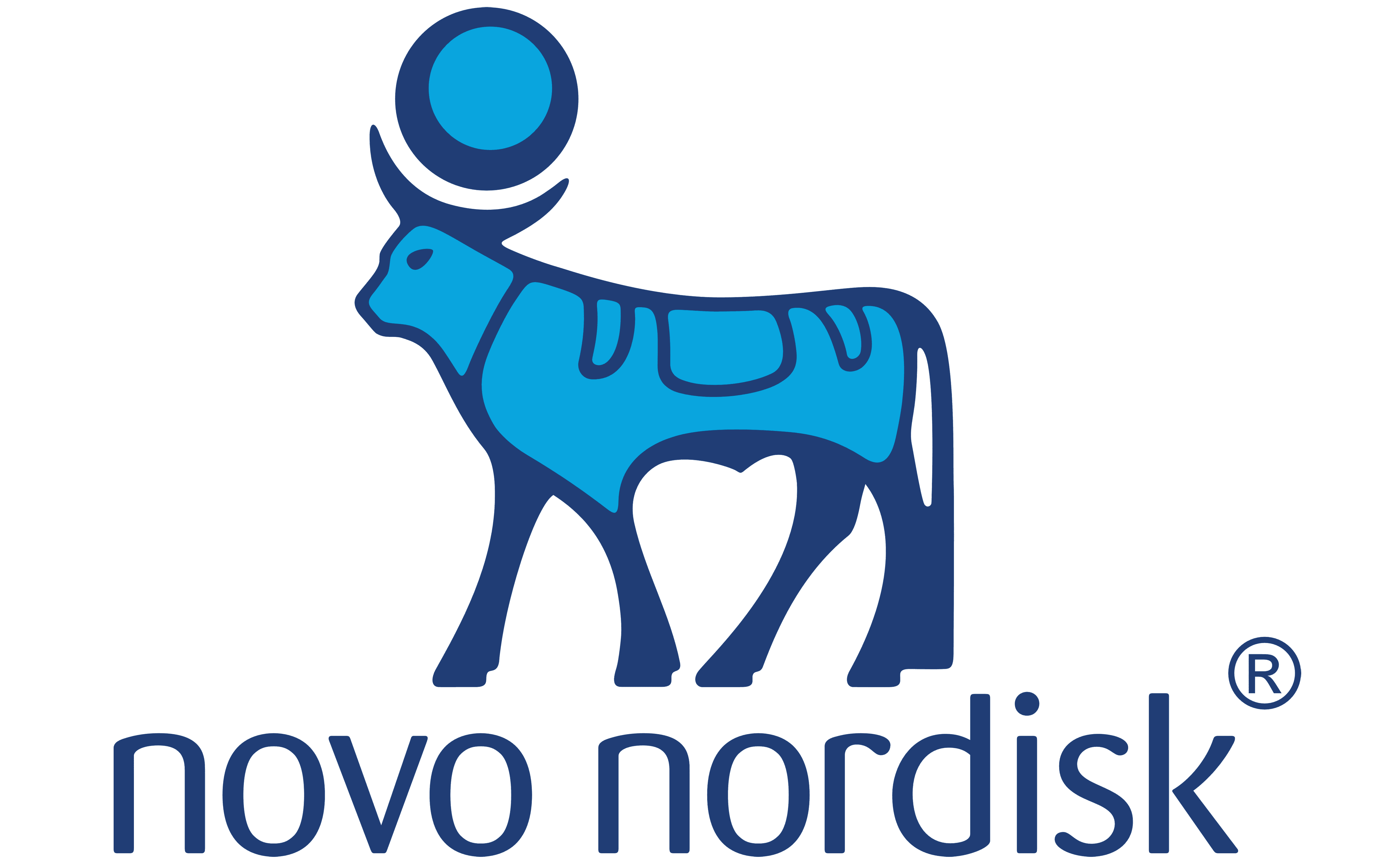 Novo Nordisk company logo in blue with the stylized Apis bull symbol above the company name on a transparent background.