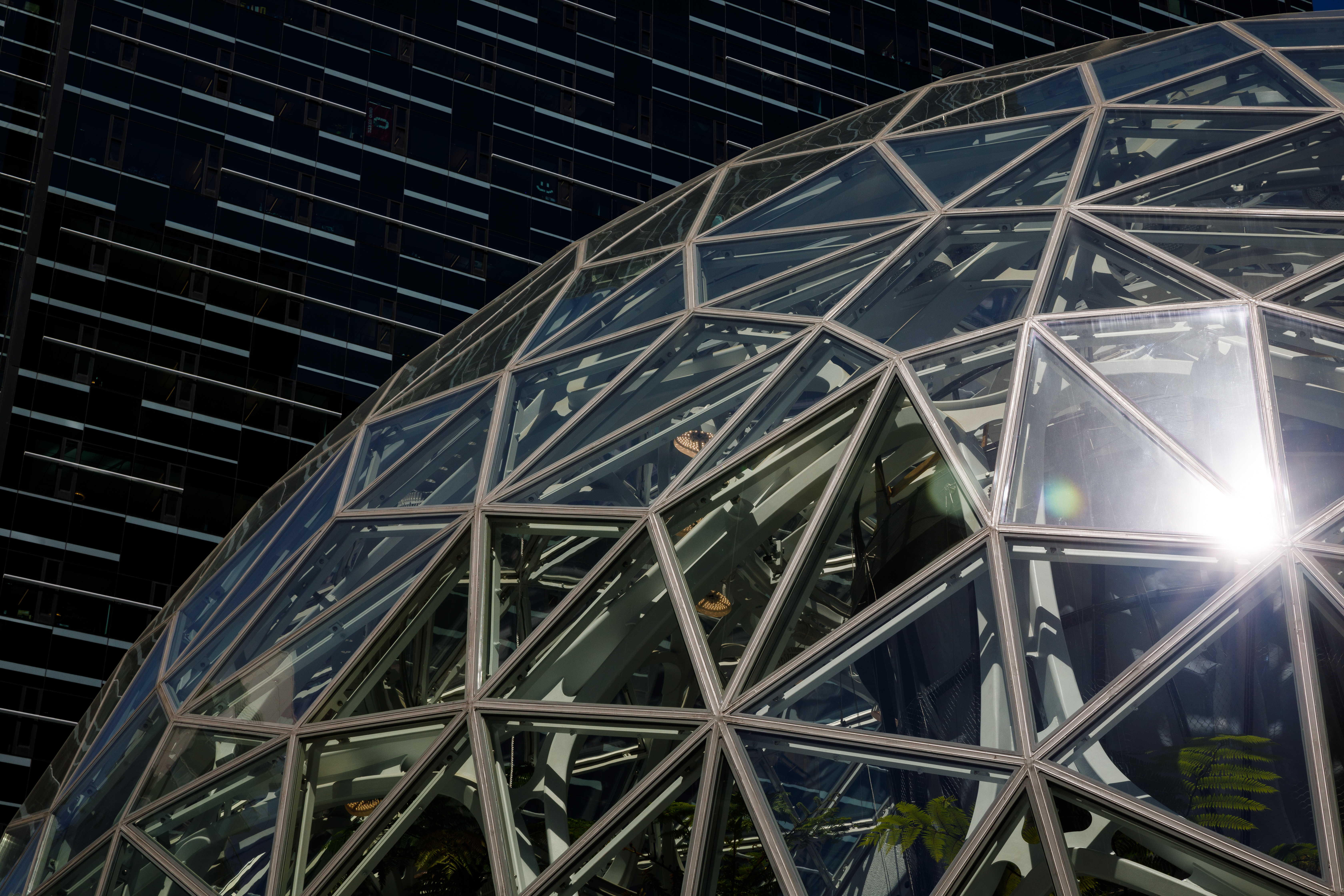 Images of Amazon's Seattle, Washington, campus, in both the downtown and South Lake Union neighborhoods. (JORDAN STEAD / Amazon)