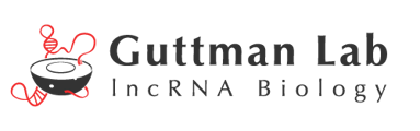 Logo for Guttman Lab lncRNA Biology, featuring stylized RNA molecules and lab icon with text.