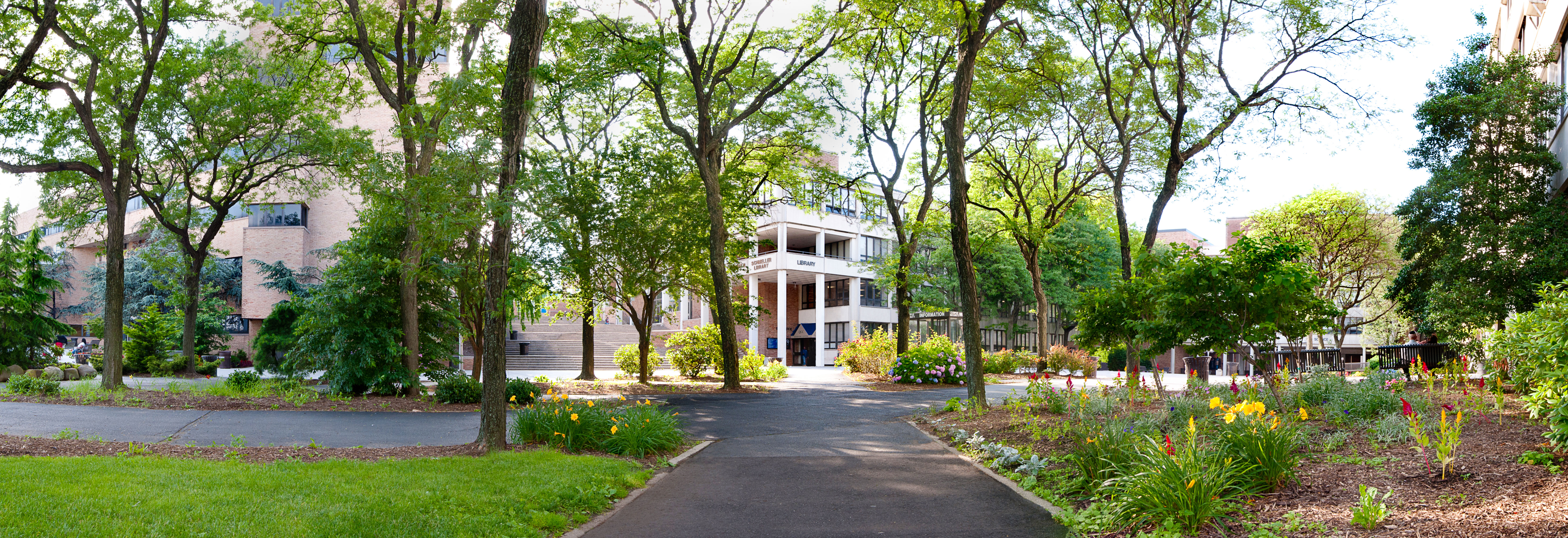 A panoramic view of a university campus featuring a tree-lined walkway, landscaped gardens, and the entrance to a modern library building. The scene is bright and inviting, with lush greenery and colorful flowers.