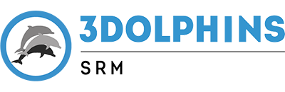 Logo for 3Dolphins, featuring three stylized dolphins in a circular blue background with the text '3Dolphins Customer Experience Platform' to the right.