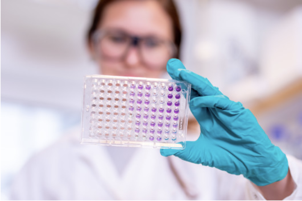 Missing alt text value