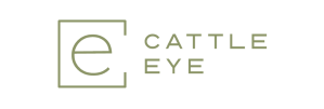 Logo for CattleEye featuring a stylized 'e' within a square frame and the words 'CATTLE EYE' to the right.