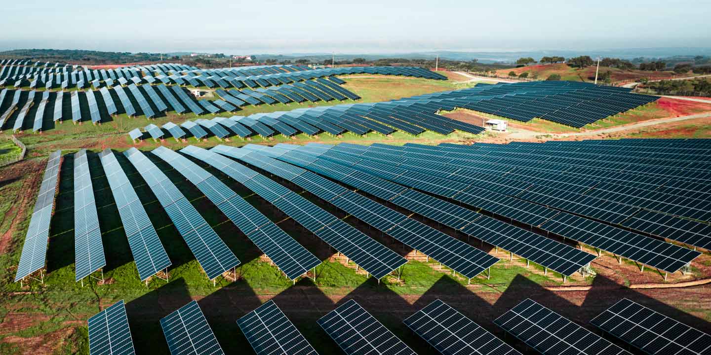 A large solar panel farm installed on a green pasture, illuminated by sunlight, representing renewable energy and sustainable technology.