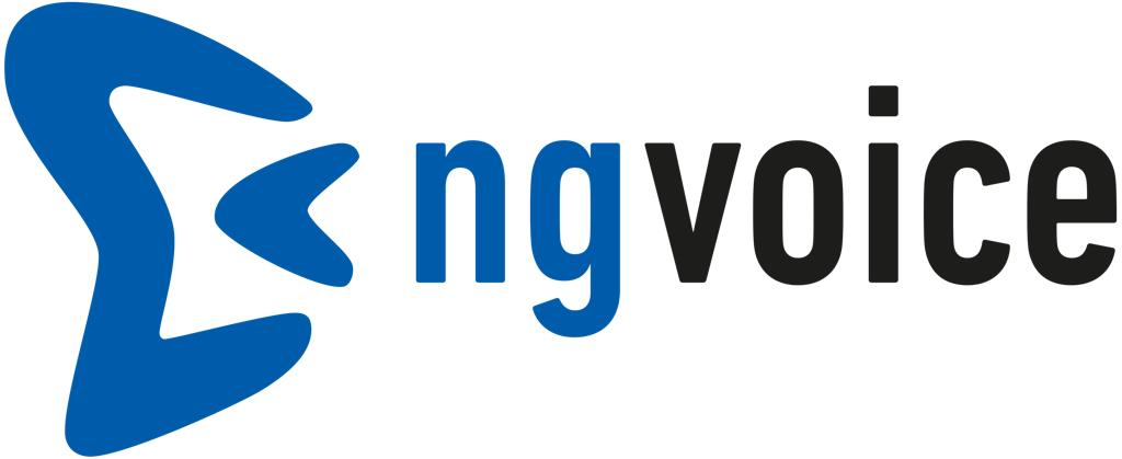 ng-voice