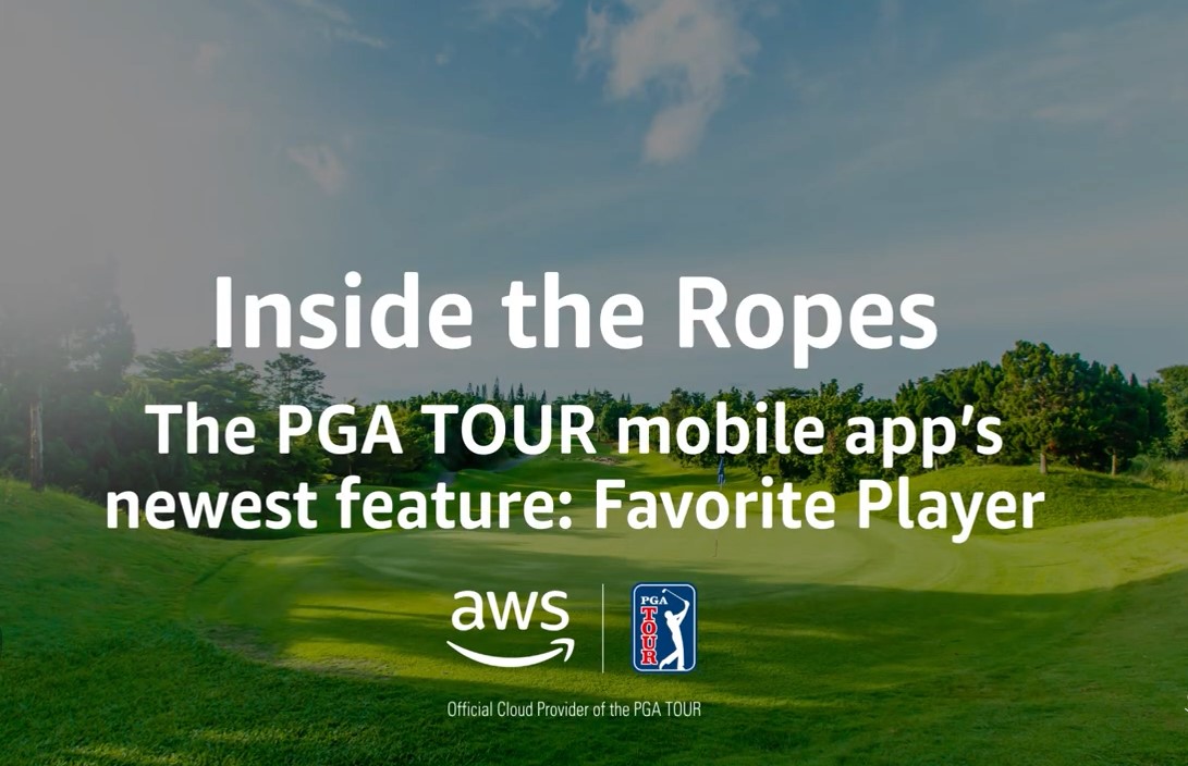 Missing alt text value