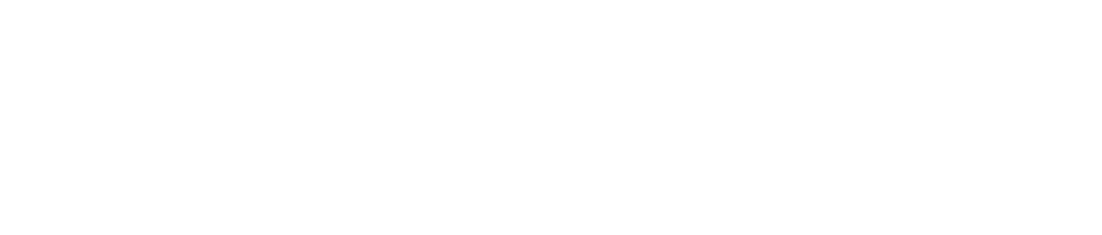 Zamp White Logo