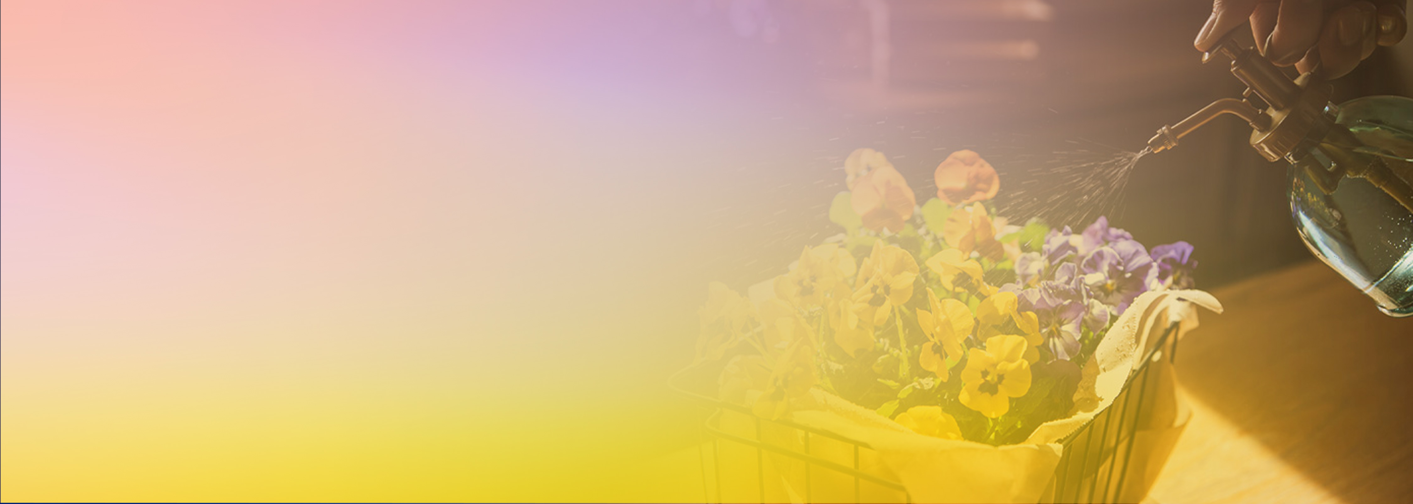 A person spraying water on colorful flowers in a planter with a spray bottle, with a pastel gradient overlay, representing the concept of smart gardening.