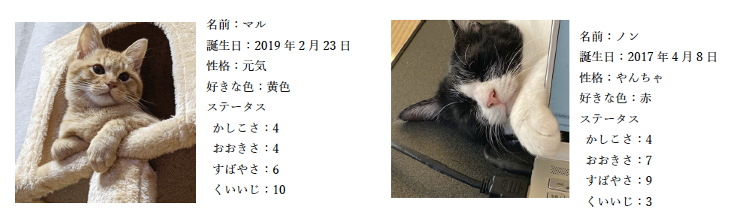 Side-by-side profile image of two cats, Maru (ginger cat) and Non (black and white cat), with accompanying Japanese text describing their names, birthdays, personalities, favorite colors, and stats such as intelligence, size, agility, and toughness.