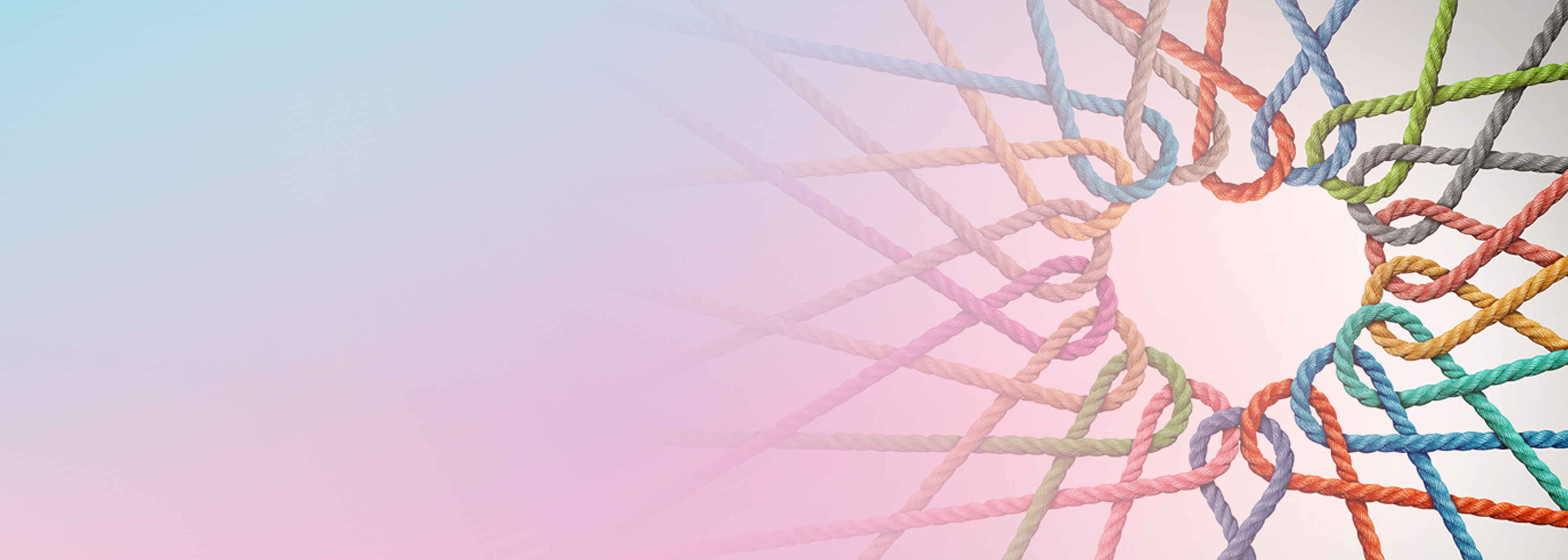 A series of multicolored ropes intertwined together, forming a unified network or knot, symbolizing community, collaboration, and interconnectedness on a pastel background.