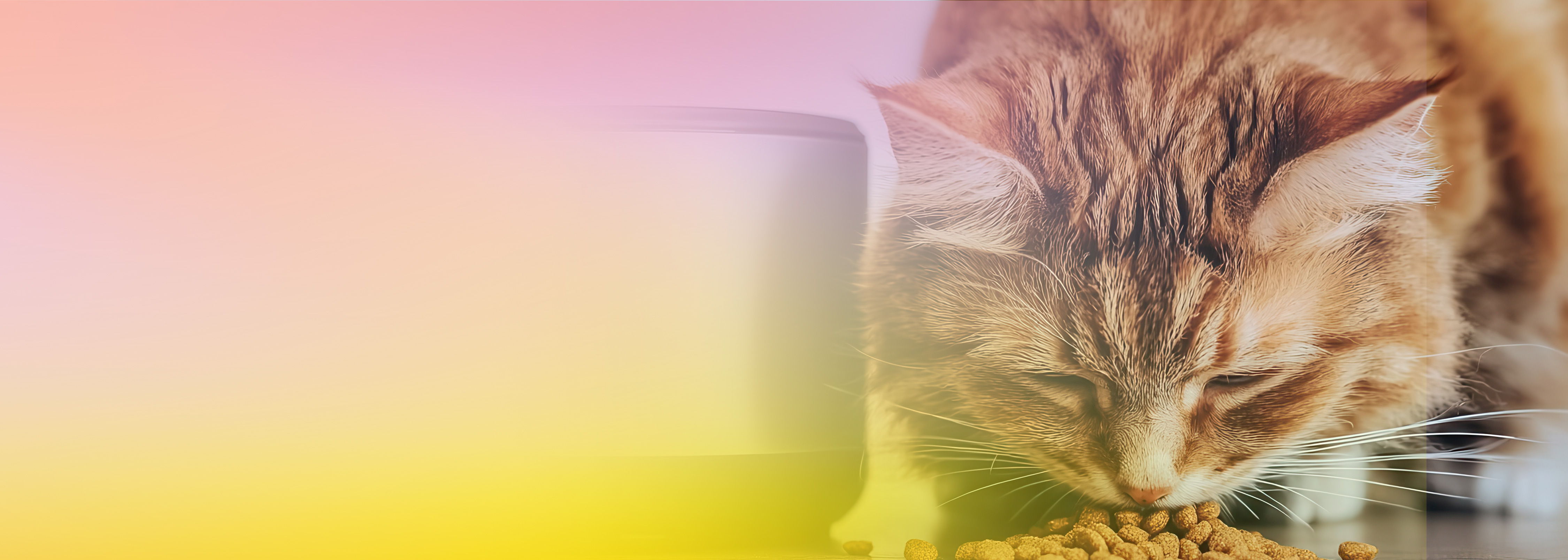 A close-up image of a cat eating dry food from an automatic food dispenser, with a soft pastel gradient overlay on the left side of the image.