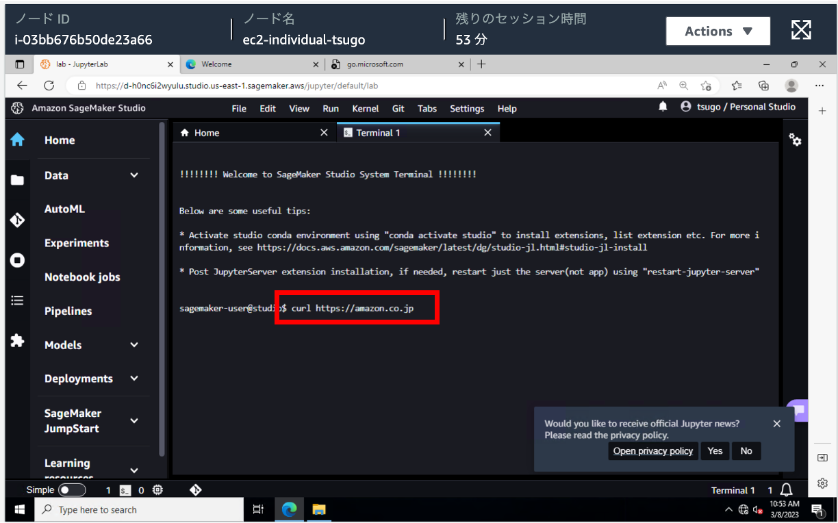 Screenshot of Amazon SageMaker Studio's JupyterLab environment running on an EC2 instance with Japanese interface. The terminal displays a welcome message, studio tips, and a highlighted 'curl https://amazon.co.jp' command.