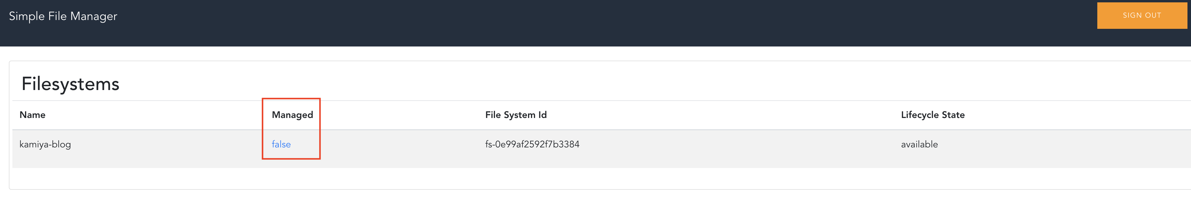 Screenshot of the Simple File Manager interface showing the list of Amazon EFS filesystems, including columns for Name, Managed status, File System Id, and Lifecycle State.