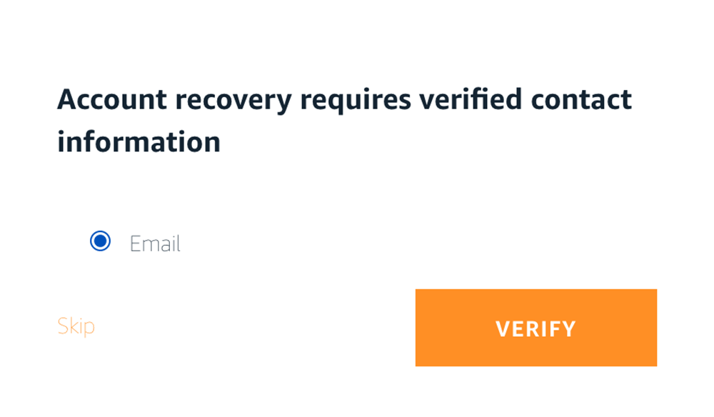 Screenshot showing an account recovery step that requires verifying contact information via email, with the Email option selected and a large Verify button.