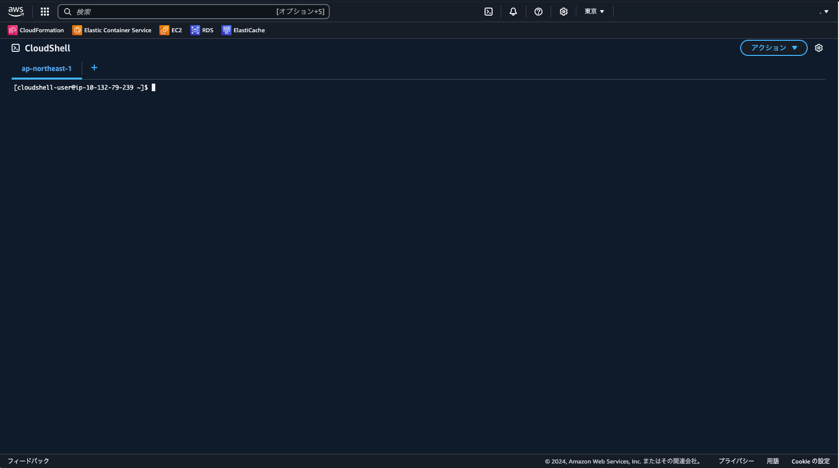 Screenshot of the AWS CloudShell console open in the ap-northeast-1 (Tokyo) region, showing a terminal prompt and the AWS management console interface in Japanese.