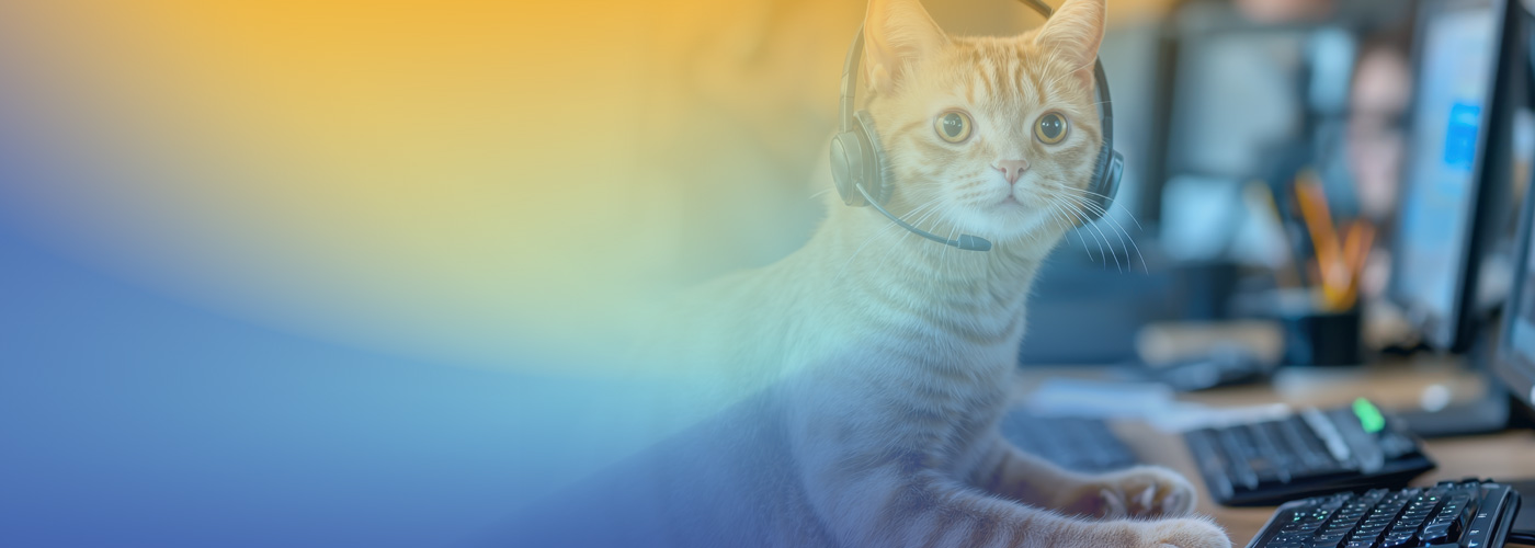 A cat wearing a headset sitting at a computer desk, appearing to use a keyboard, in an office environment.