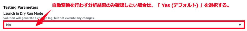 Screenshot showing AWS testing parameters with dry run mode settings and Japanese instructions. The image highlights the selection of 'No' with a red arrow and provides guidance in Japanese about verifying analysis results without performing automatic conversion by selecting 'Yes (default)'.