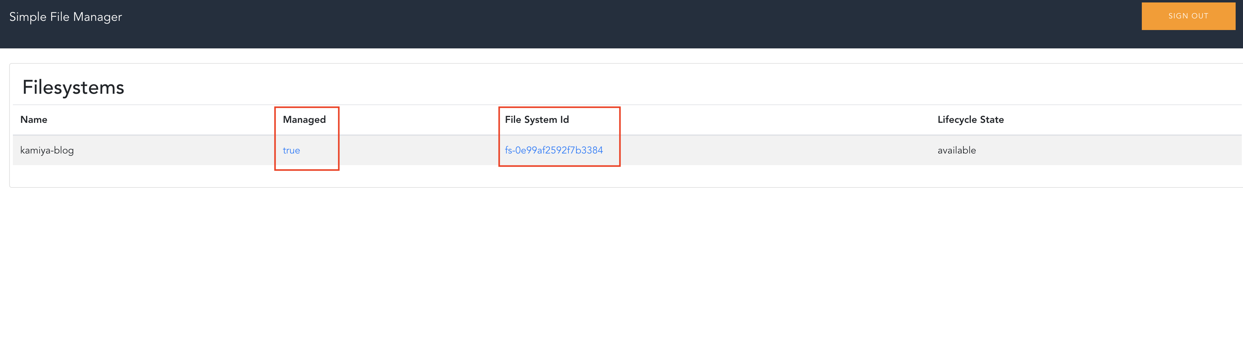 Screenshot of the Simple File Manager interface displaying a list of Amazon EFS filesystems, showing columns for Name, Managed status, File System Id, and Lifecycle State.