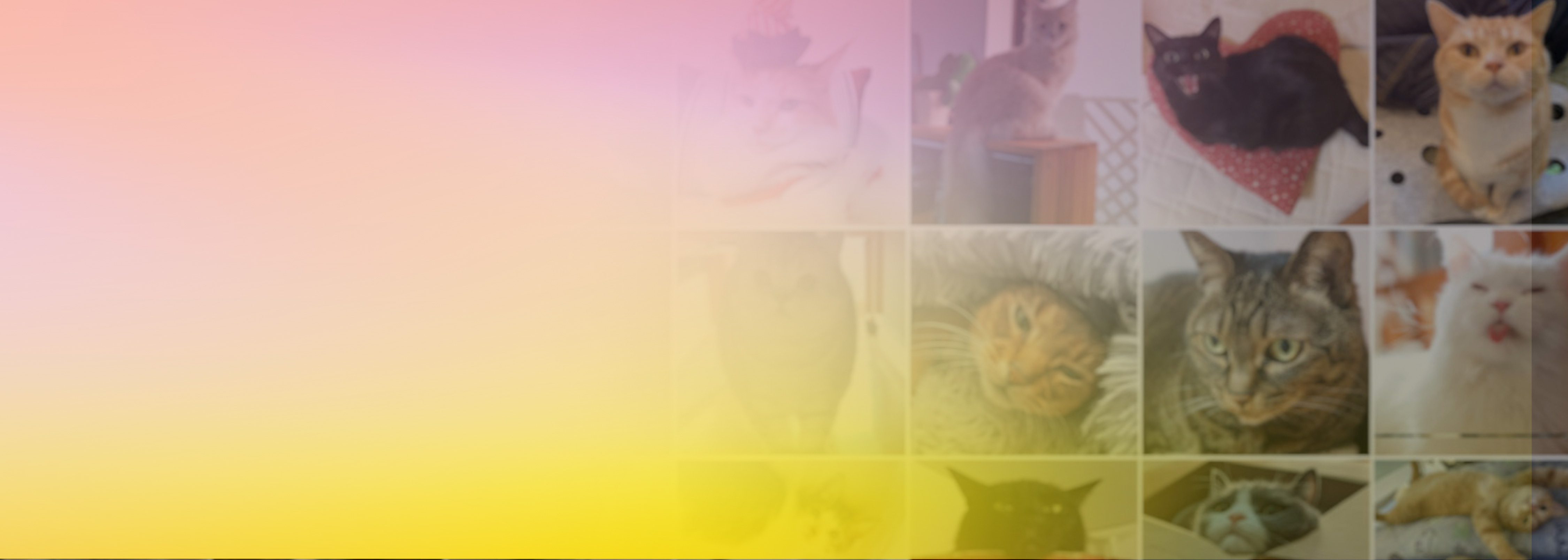 A main visual featuring a pastel gradient overlay with a collage of cat photos in the background, used for a 'Let's Create Nyan Poker' themed content.