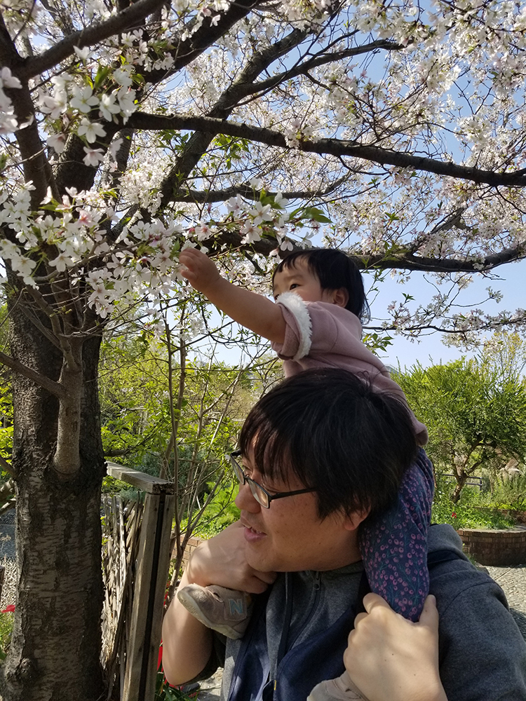 Missing alt text value
