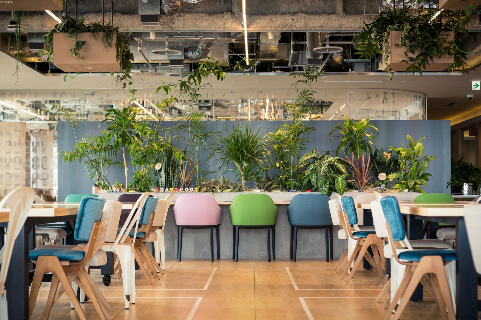 Interior of the AWS Meguro office featuring desks, colorful chairs, and abundant greenery with plants and planters creating a fresh, modern workspace environment.